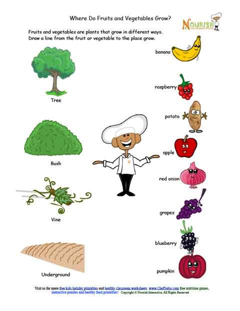 Where Do Fruits and Vegetables Grow Matching Worksheet